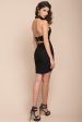 Bonita Lace Bodycon Dress Black For Sale