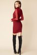 Shayna Mesh Sleeve Club Dress Burgundy Online Sale