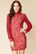 Becka Lace Dress Berry on Sale