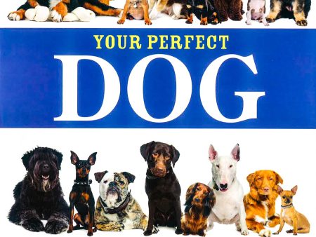 Your Perfect Dog: The Ultimate Breed-By-Breed Guide To Choosing A Dog That s Your Ideal Match Hot on Sale