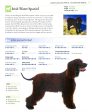 Your Perfect Dog: The Ultimate Breed-By-Breed Guide To Choosing A Dog That s Your Ideal Match Hot on Sale