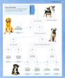 Your Perfect Dog: The Ultimate Breed-By-Breed Guide To Choosing A Dog That s Your Ideal Match Hot on Sale